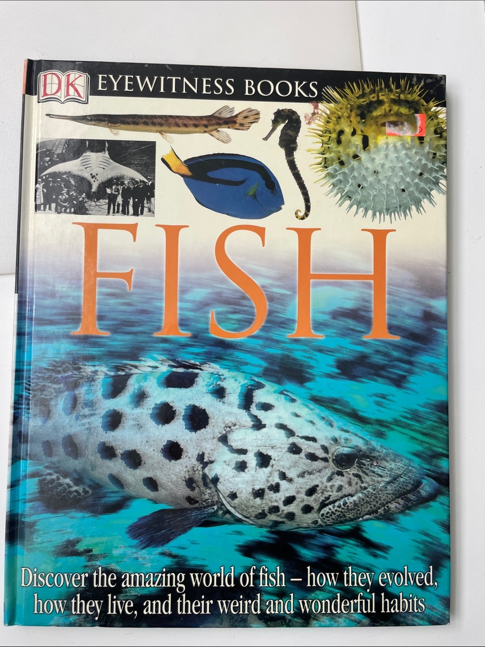 : Fish - Blue Cover